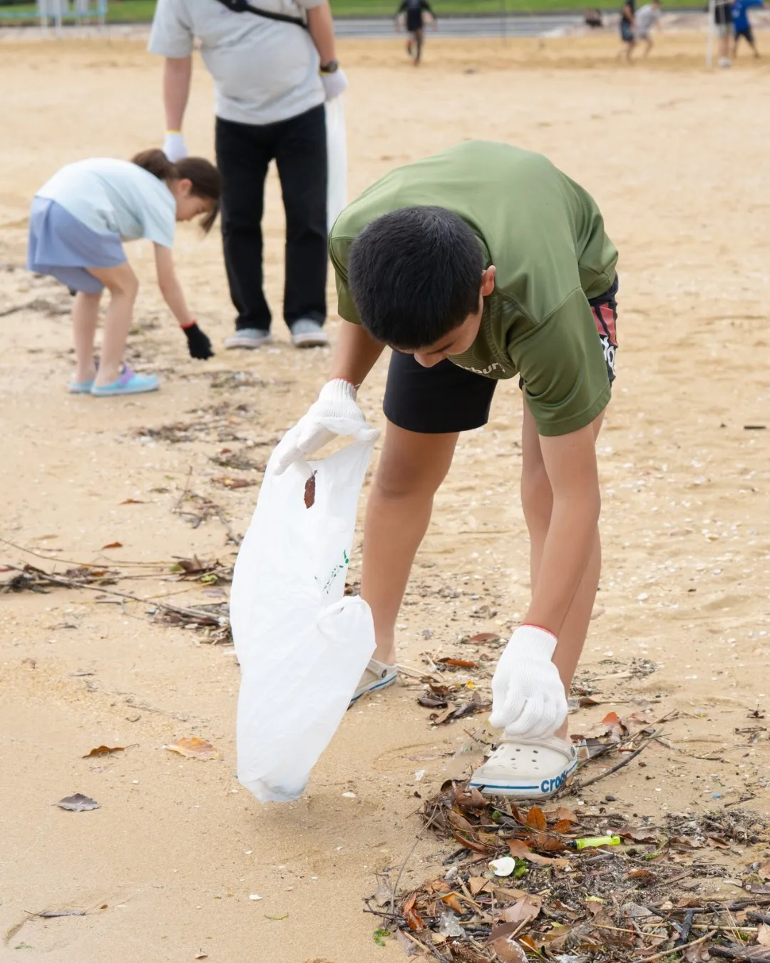 第2回ももち浜🐬海浜清掃🐬知識から知恵の時代へ。