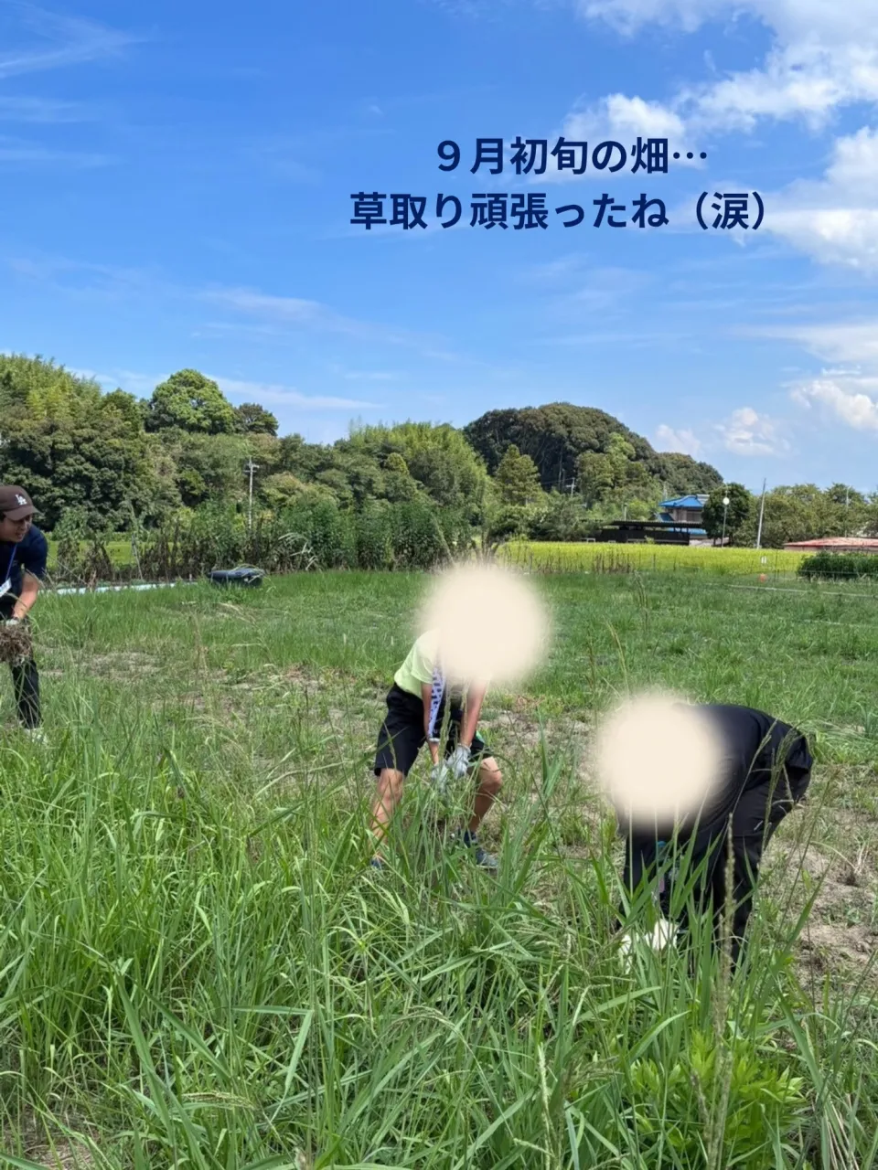 【共に歩んだ畑づくり】